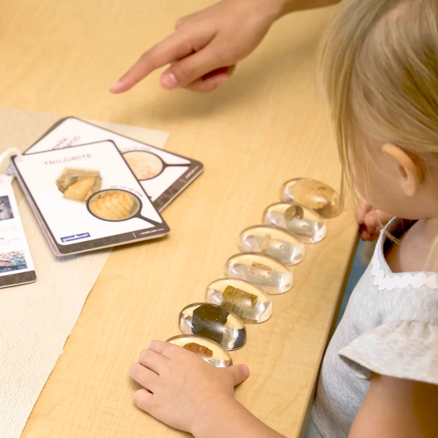 Guidecraft Specimen Stones insecten acryl set kaarten 2 jaar