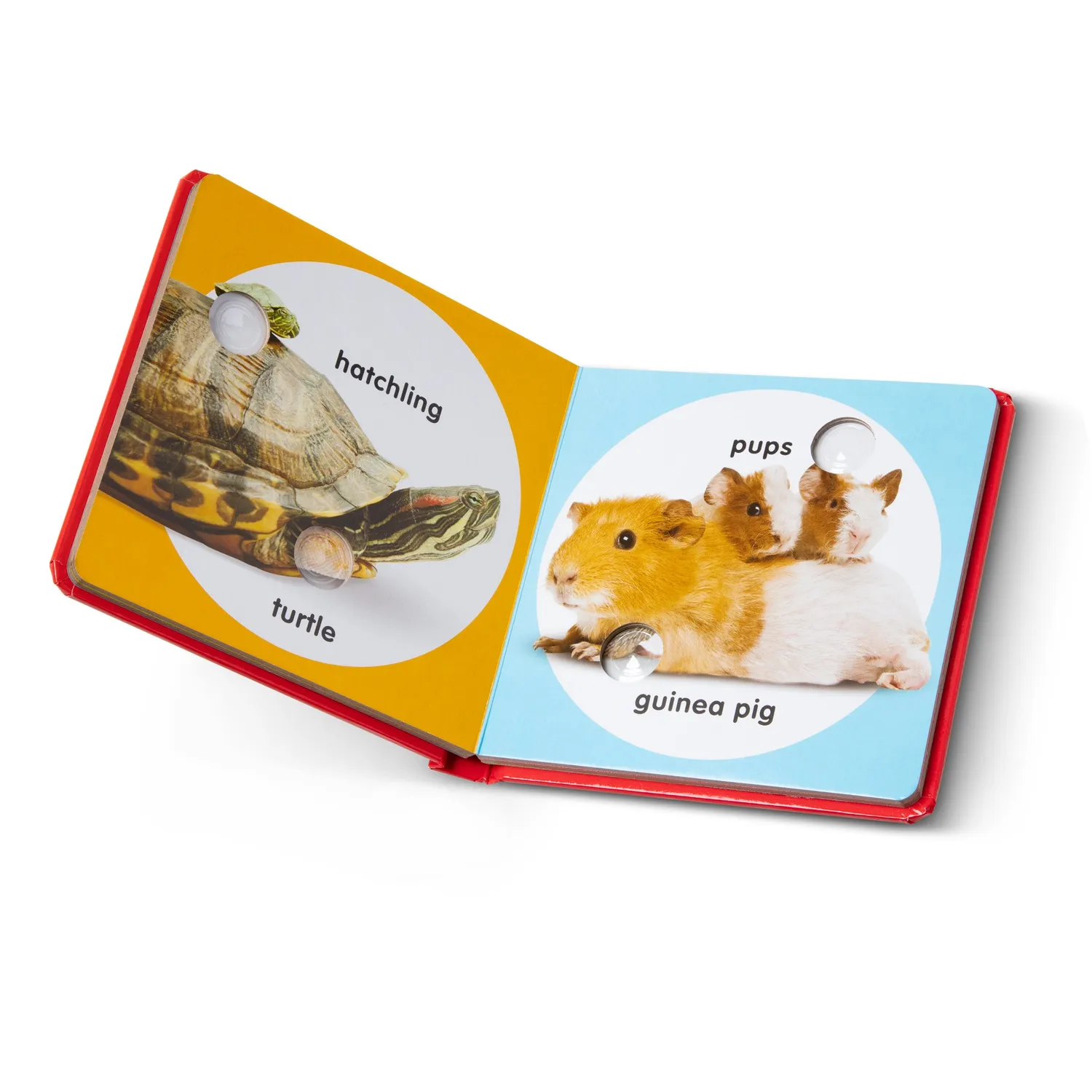 Melissa & Doug Poke-a-Dot Pet Families kartonboek popgeluid