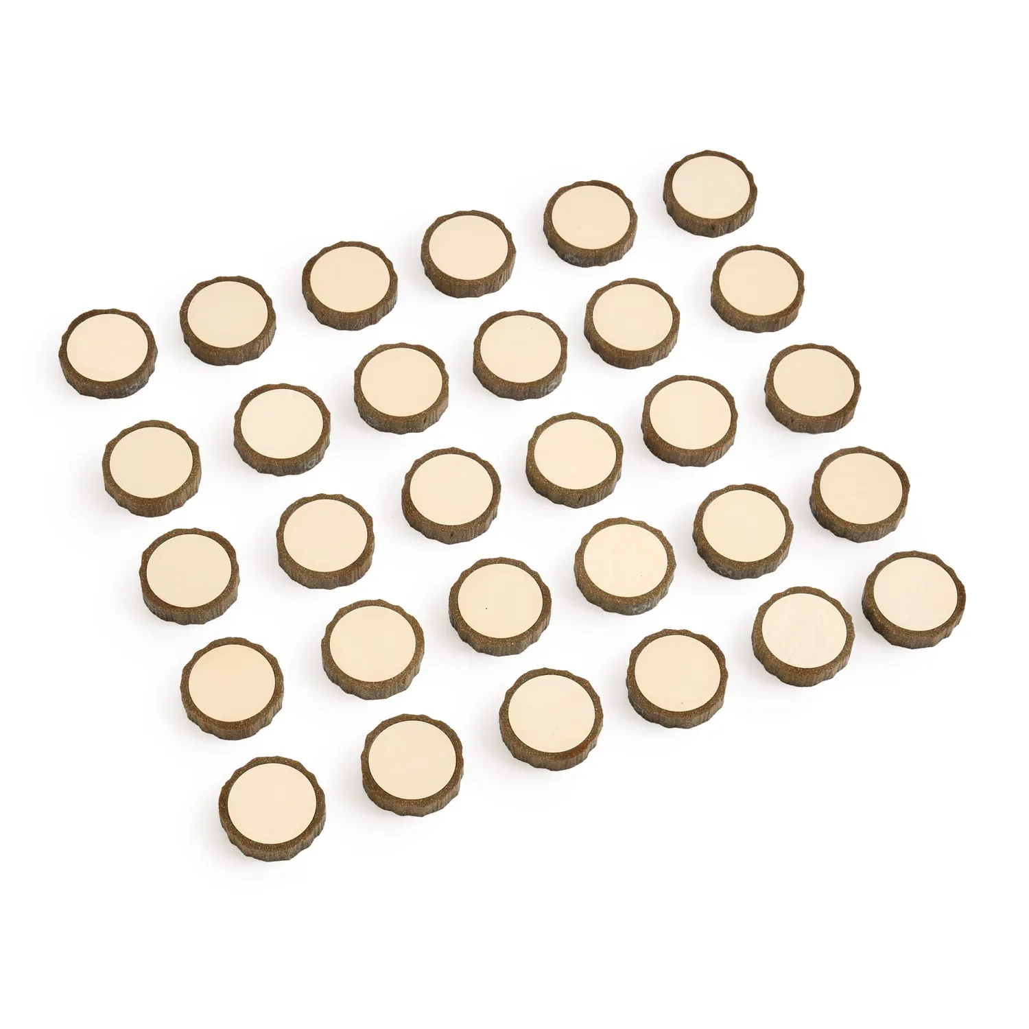 Guidecraft Magnetic Write-On Wood Cookies magneetschijfjes 30 stuks
