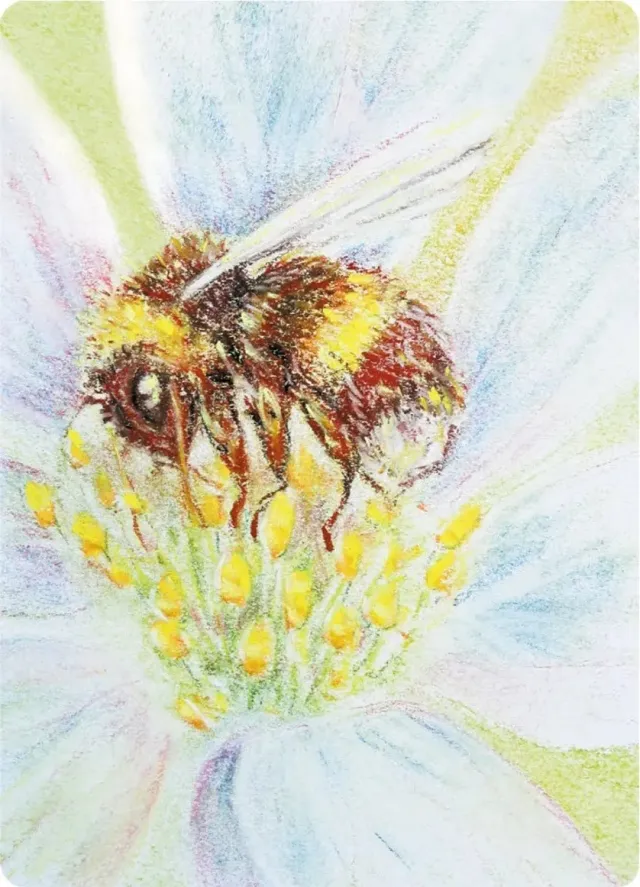 Ginger Fairy Kapitein Kalk Hommel Ansichtkaart A6