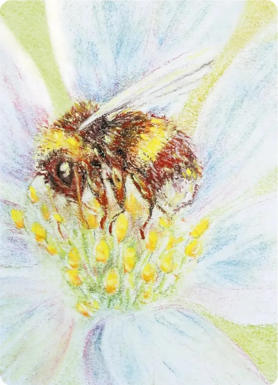 Ginger Fairy Kapitein Kalk Hommel Ansichtkaart A6