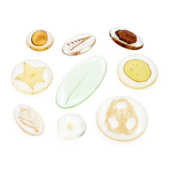 Guidecraft Acrylic Nature's Cross Sections natuurblokken 9 stuks