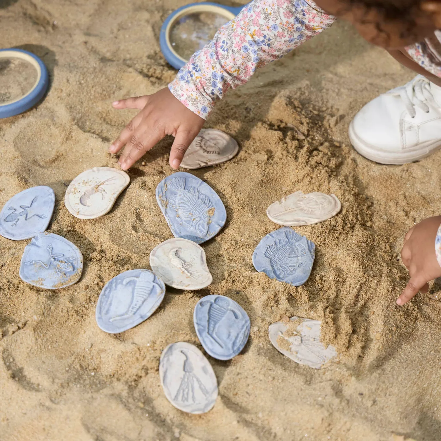 Guidecraft Fossil Stones Aquatic Life fossielstenen set van 8 magnetisch