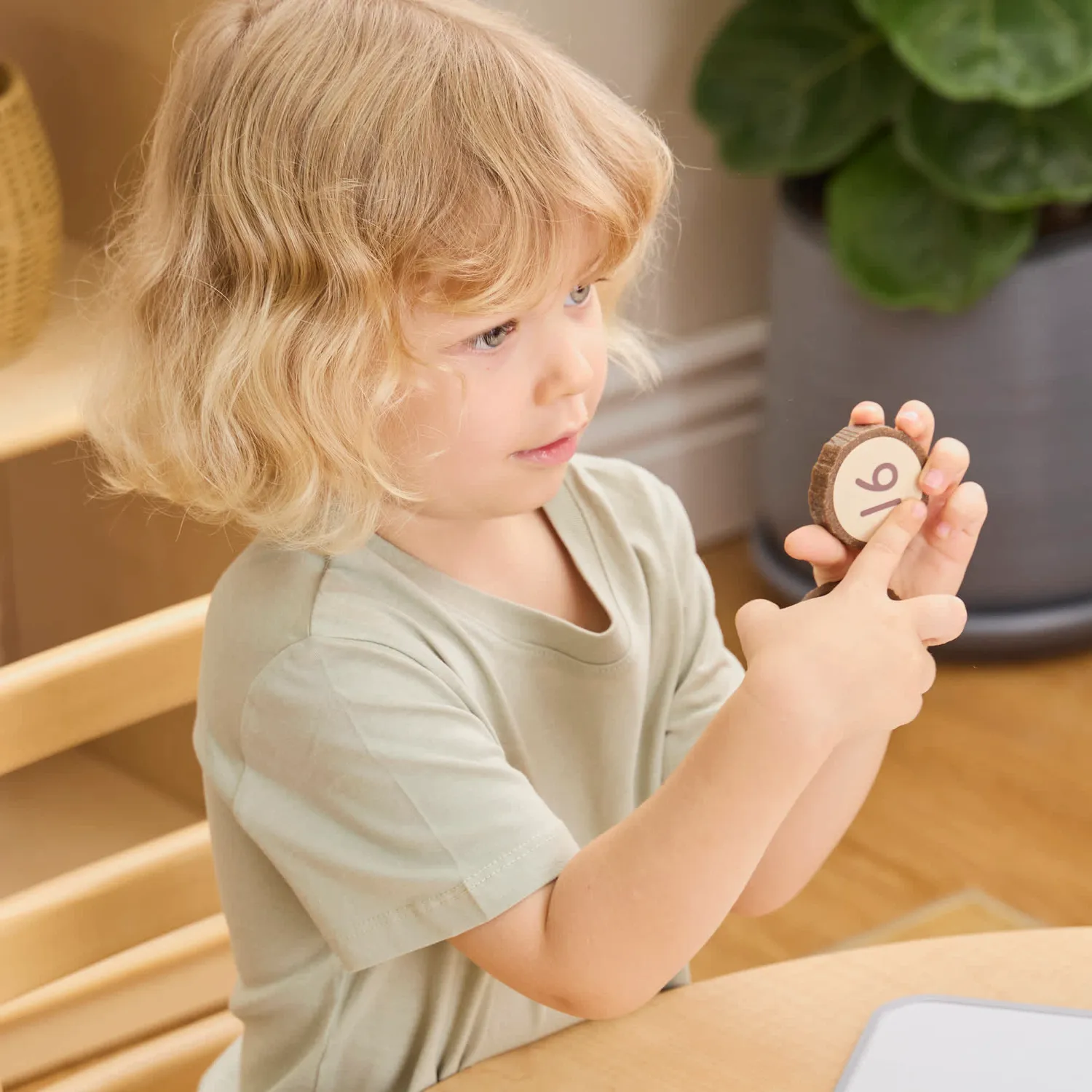 Guidecraft Magnetic Wood Cookie Counters reken speelgoed 0-20