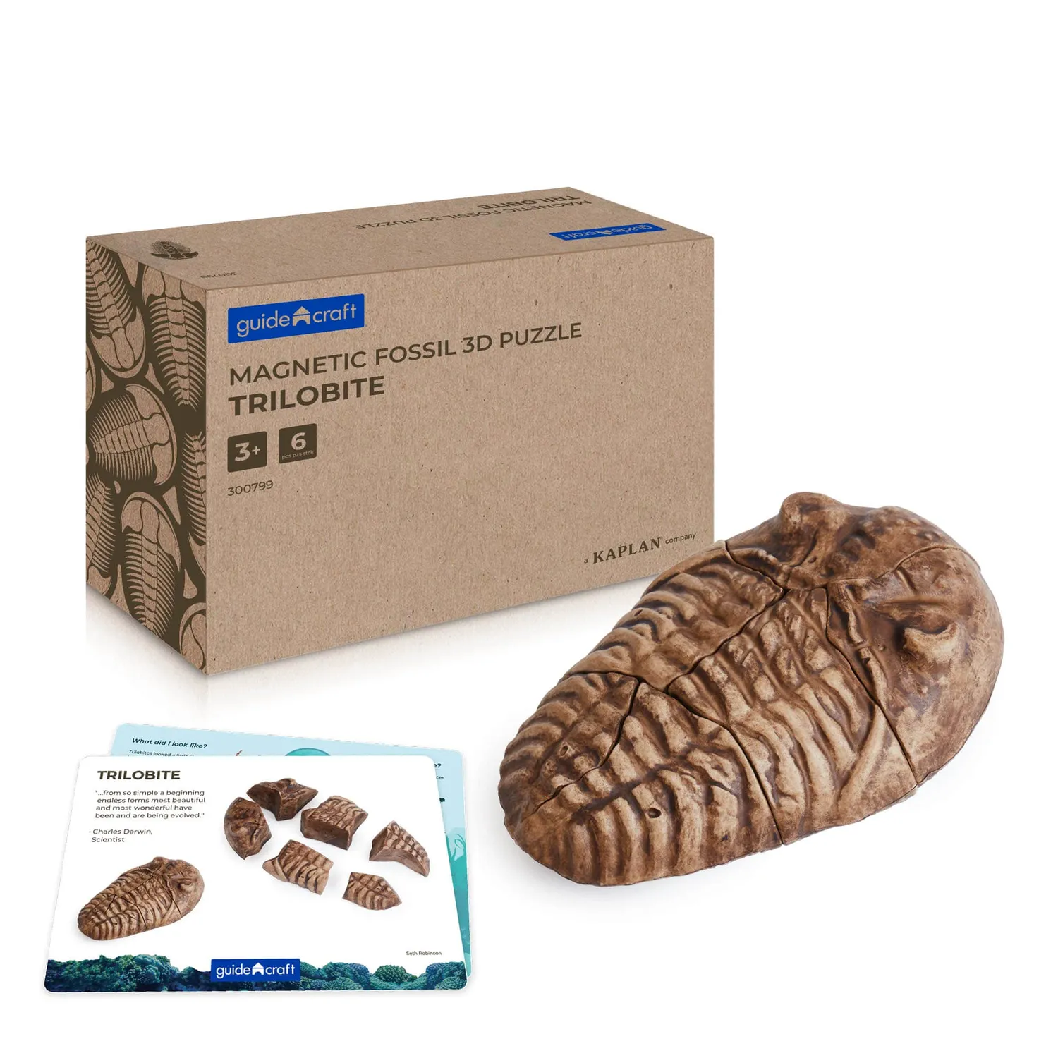 Guidecraft Fossil magneetpuzzel 3D Megalodon tand