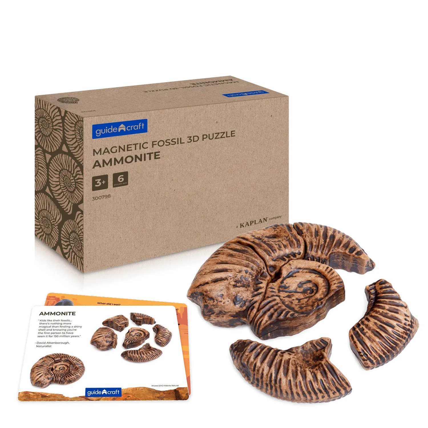 Guidecraft Fossil magneetpuzzel 3D Megalodon tand