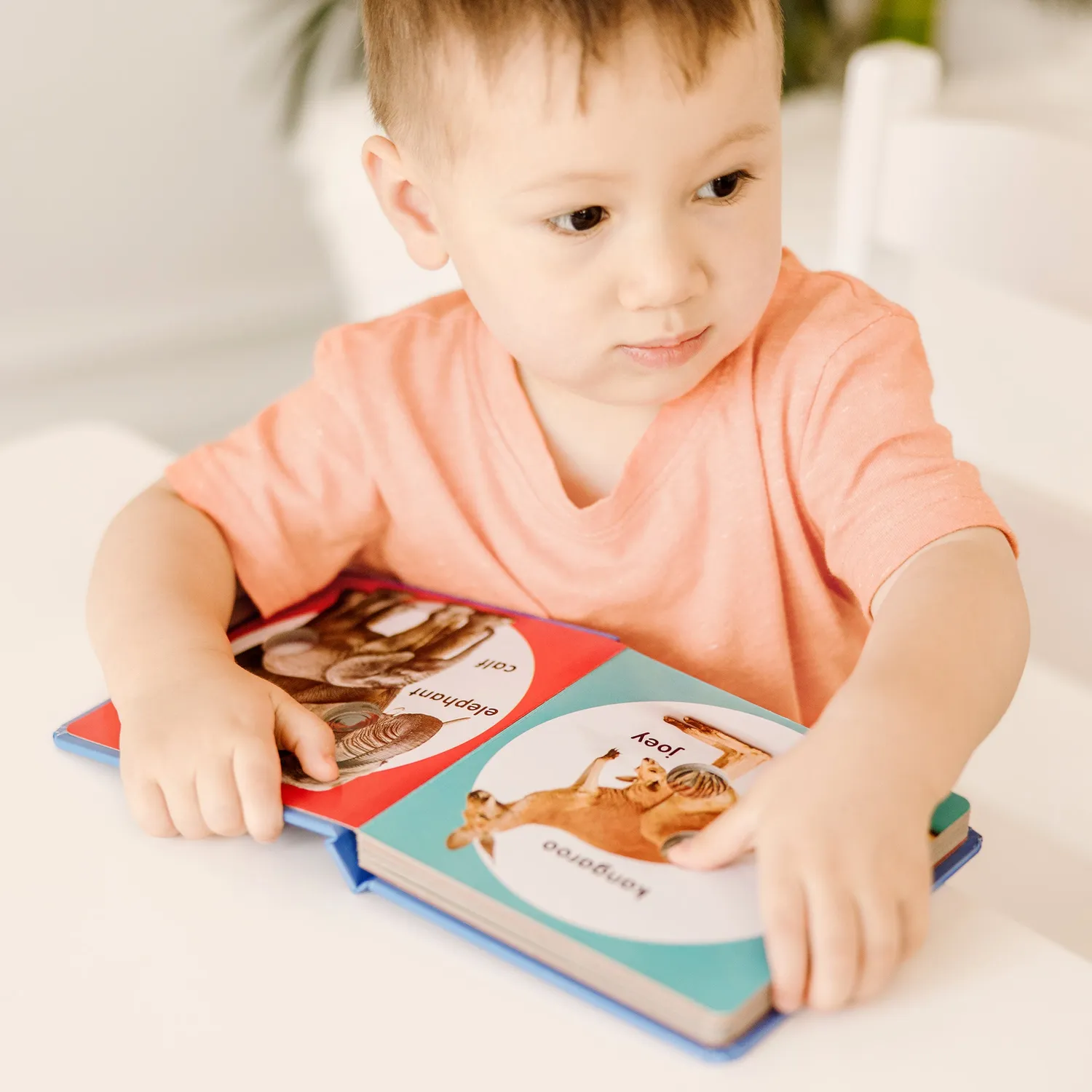 Melissa & Doug Poke-a-Dot Wilde Dierenfamilies kartonboek