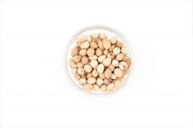 Ginger Fairy Kersenpitten vulmateriaal 250 gram