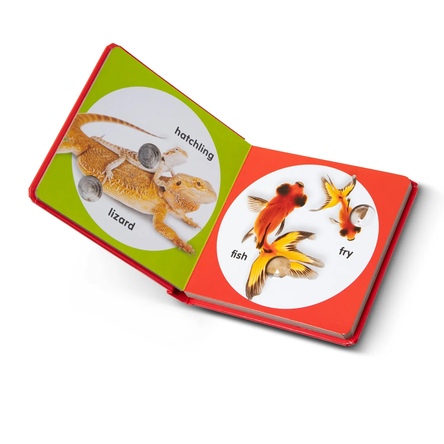 Melissa & Doug Poke-a-Dot Pet Families kartonboek popgeluid