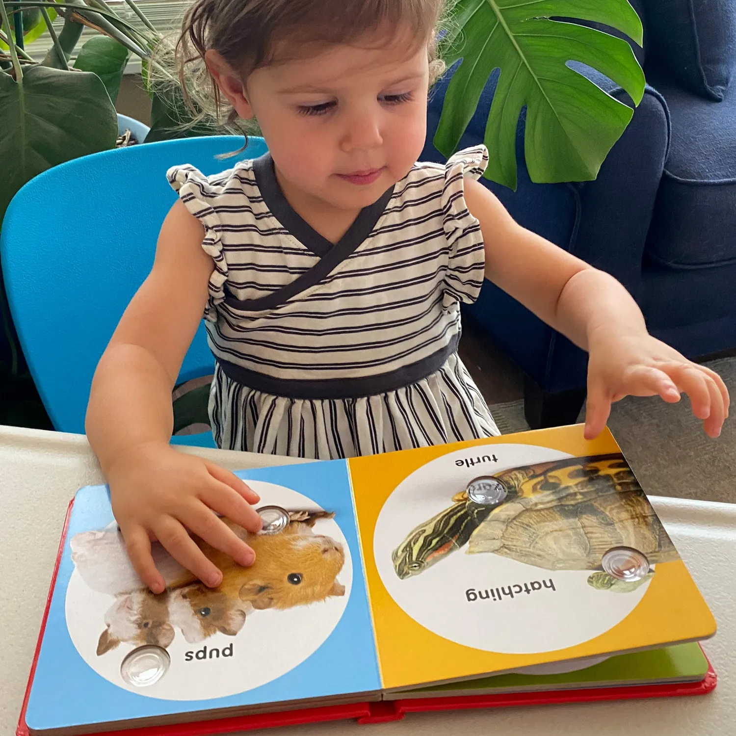 Melissa & Doug Poke-a-Dot Pet Families kartonboek popgeluid