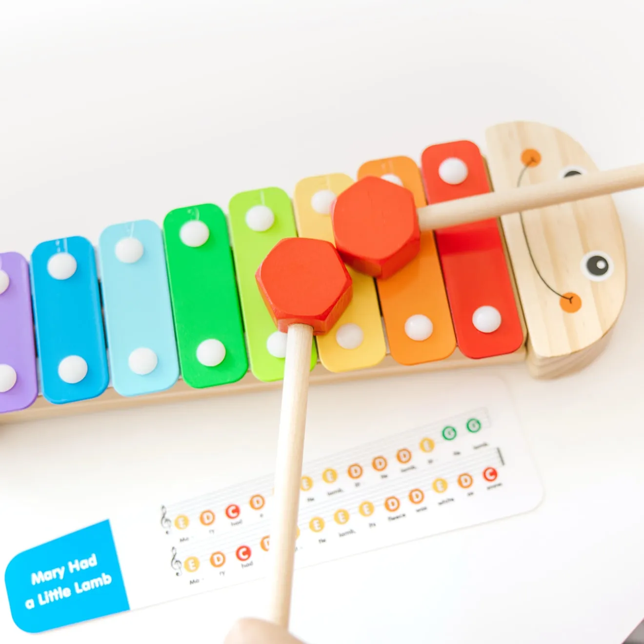Melissa & Doug Caterpillar xylofoon hout 8 tonen