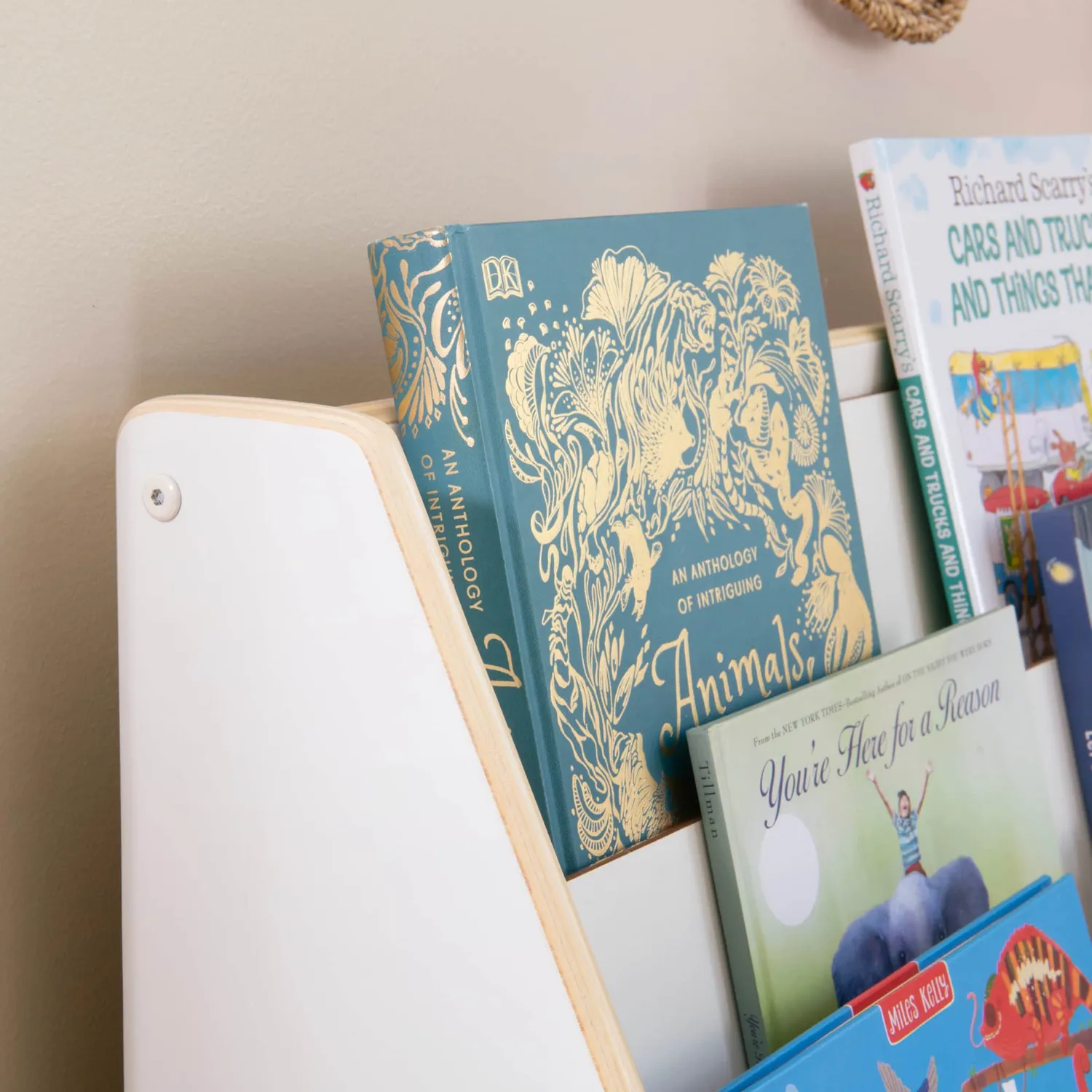 Guidecraft EdQ Book and Bin Display kast wit