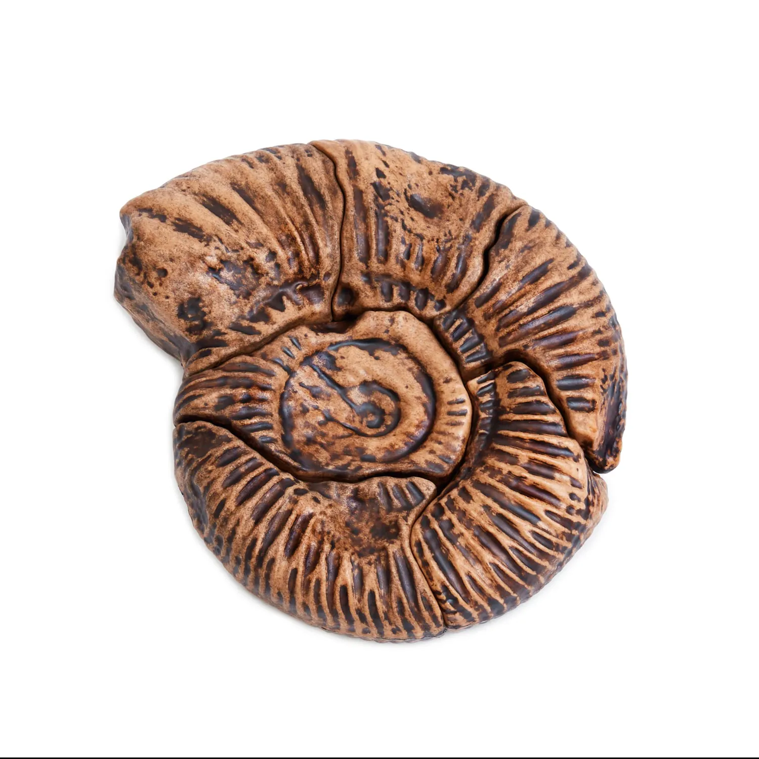 Guidecraft Fossil magneetpuzzel 3D Megalodon tand