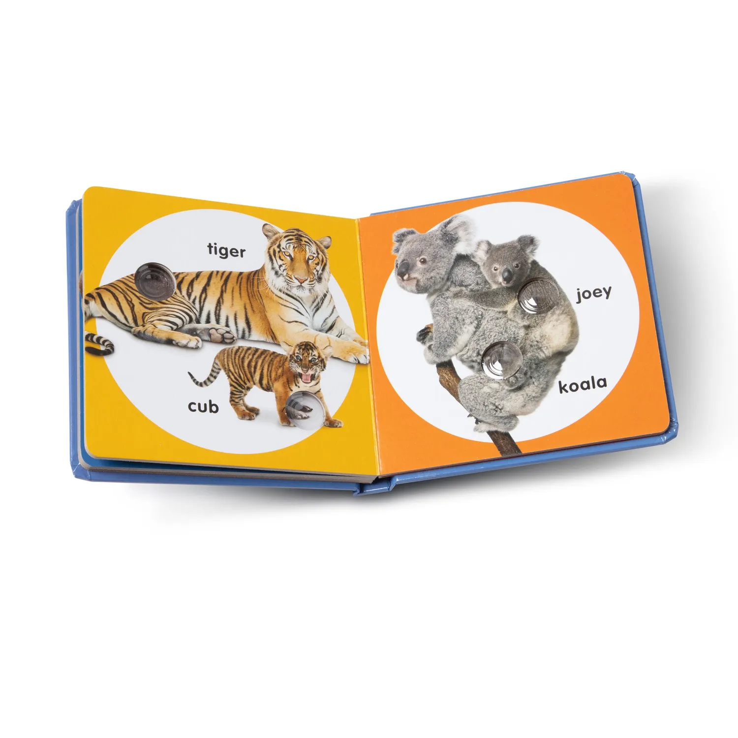 Melissa & Doug Poke-a-Dot Wilde Dierenfamilies kartonboek