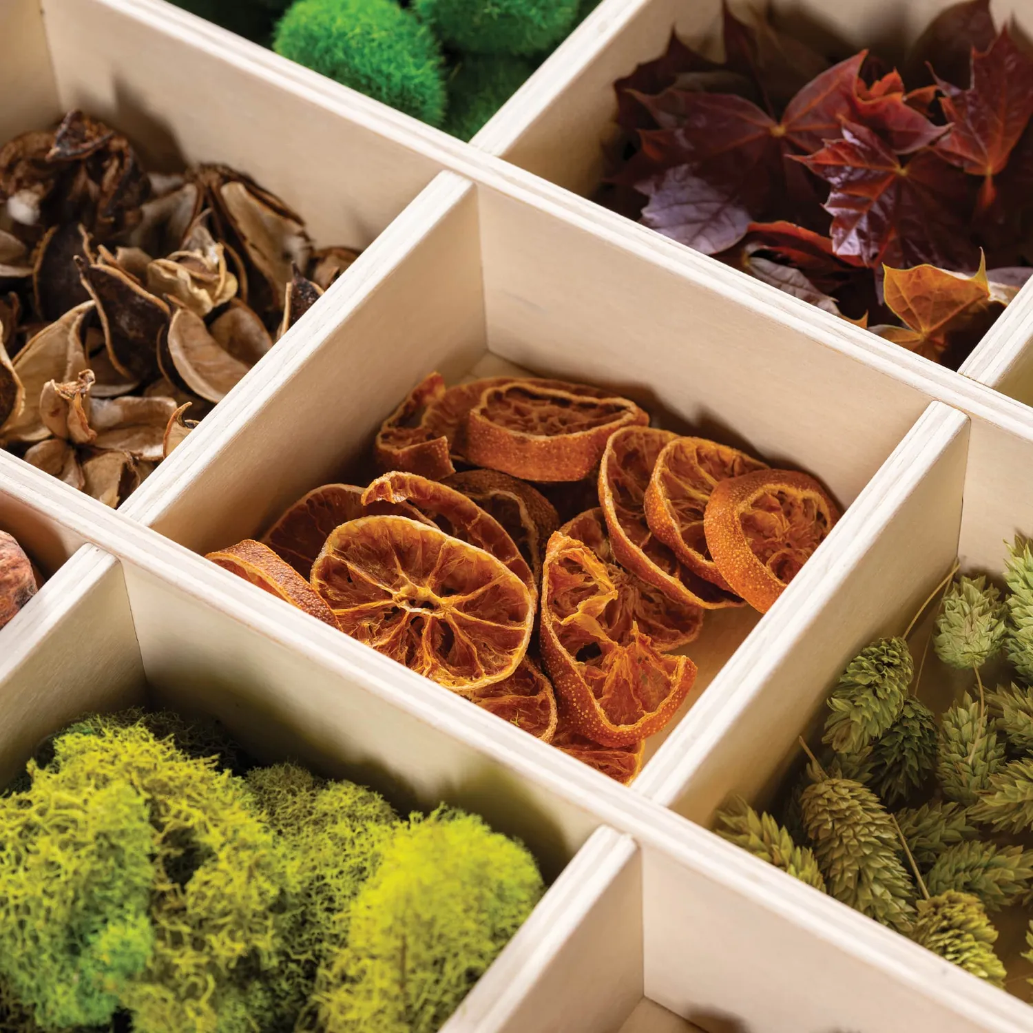 Guidecraft Loose Parts stapelbare houten trays set van 4