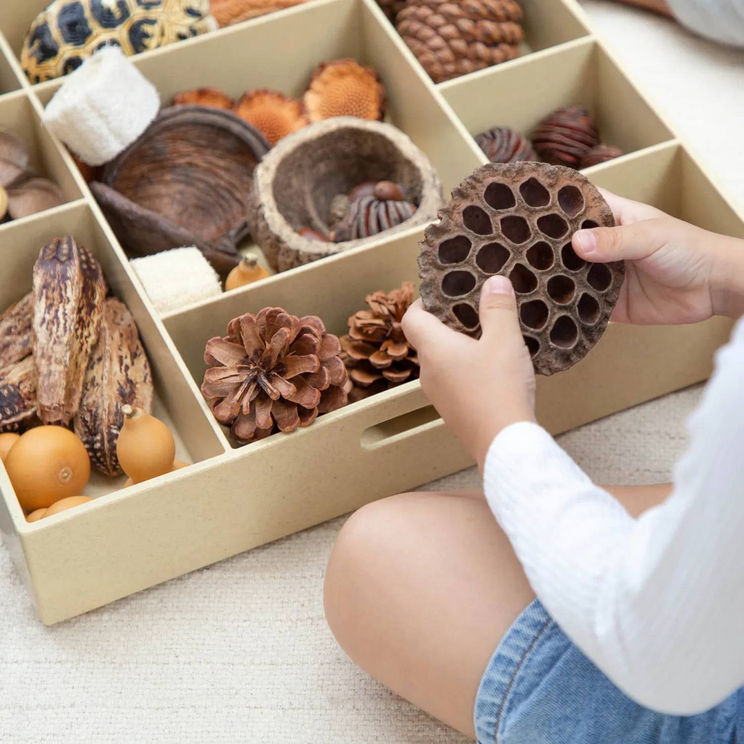 Guidecraft Nature's Geometry STEM-kit losse onderdelen