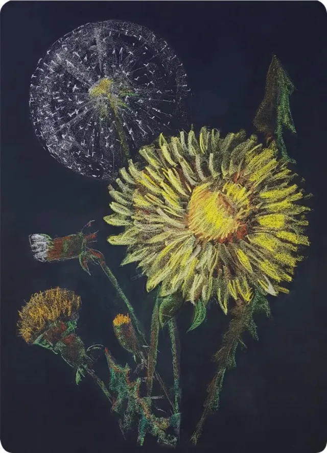 Ginger Fairy Kapitein Kalk Paardenbloem ansichtkaart A6