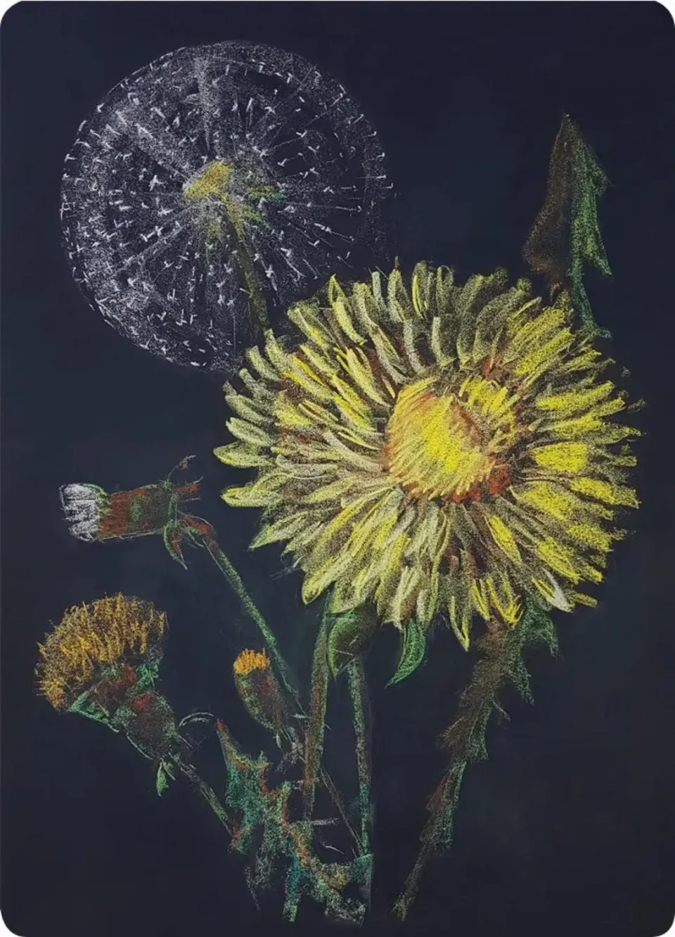 Ginger Fairy Kapitein Kalk Paardenbloem ansichtkaart A6