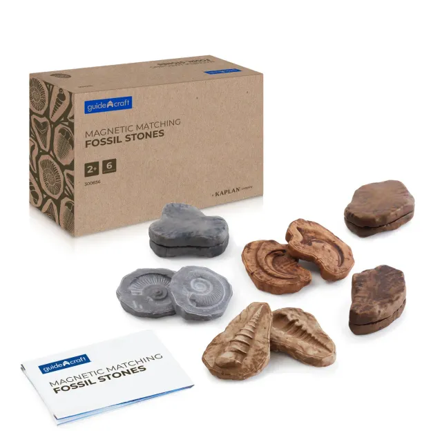 Guidecraft Fossil Stones fossielstenen set van 6 magnetisch