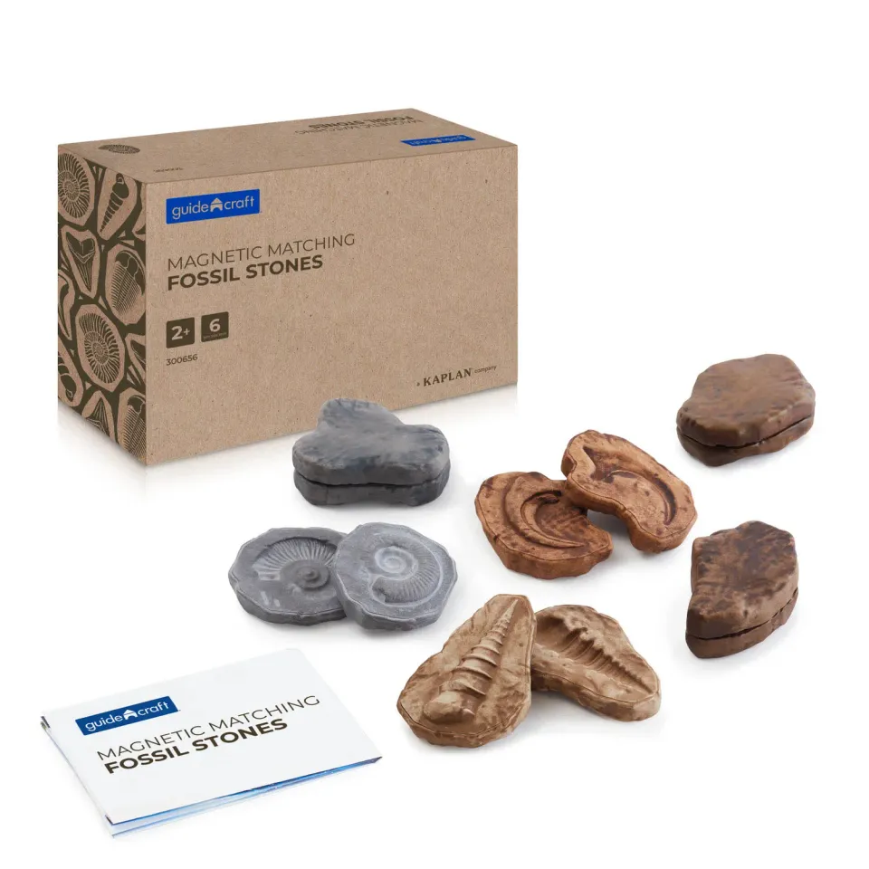 Guidecraft Fossil Stones fossielstenen set van 6 magnetisch