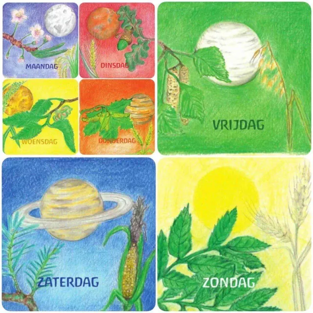 Ginger Fairy Eentje van Margo set dagen van de week 9x9