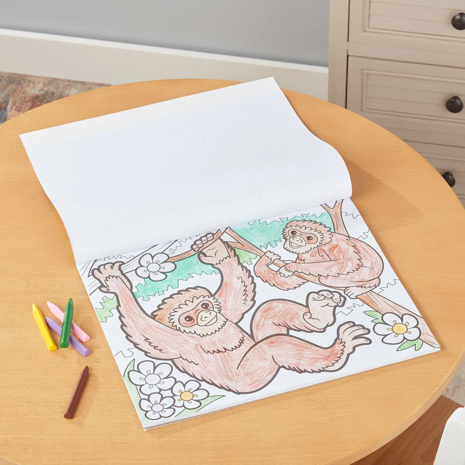 Melissa & Doug Kleurblok 3-pack dieren voertuigen groot