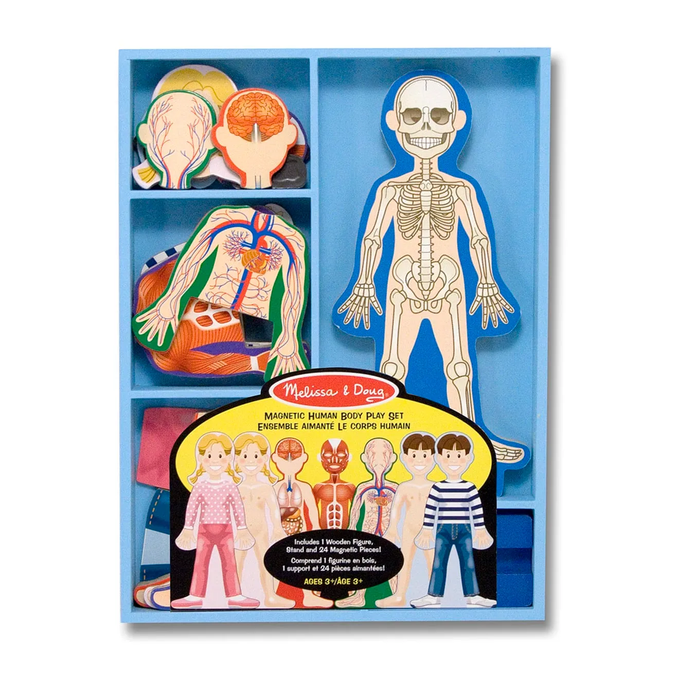 Melissa & Doug Magnetic Menselijk Lichaam magneetset 24dlg