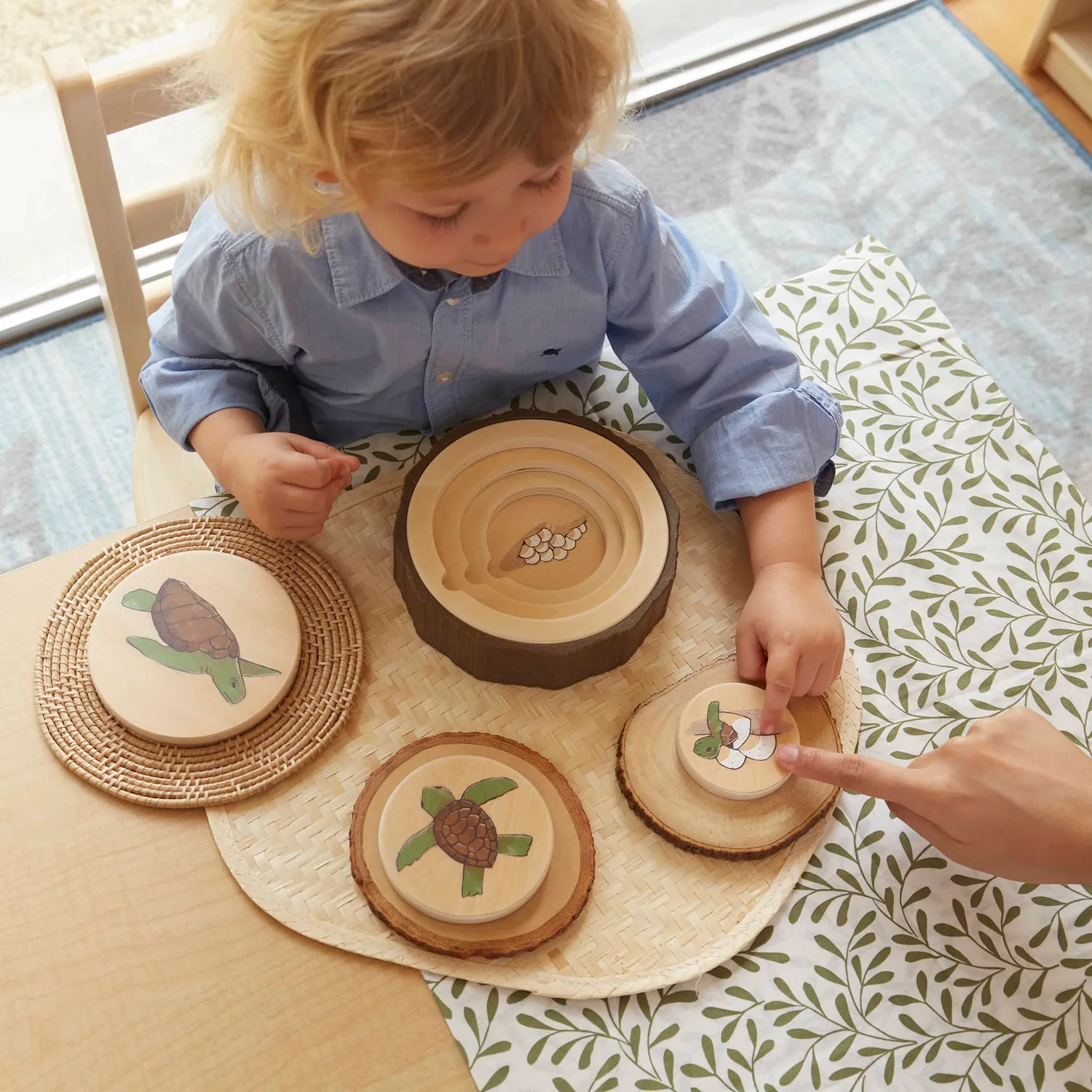 Guidecraft Lifecycle puzzel set van 3 kikker vlinder schildpad