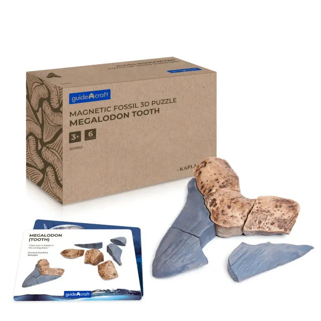 Guidecraft Fossil magneetpuzzel 3D Megalodon tand