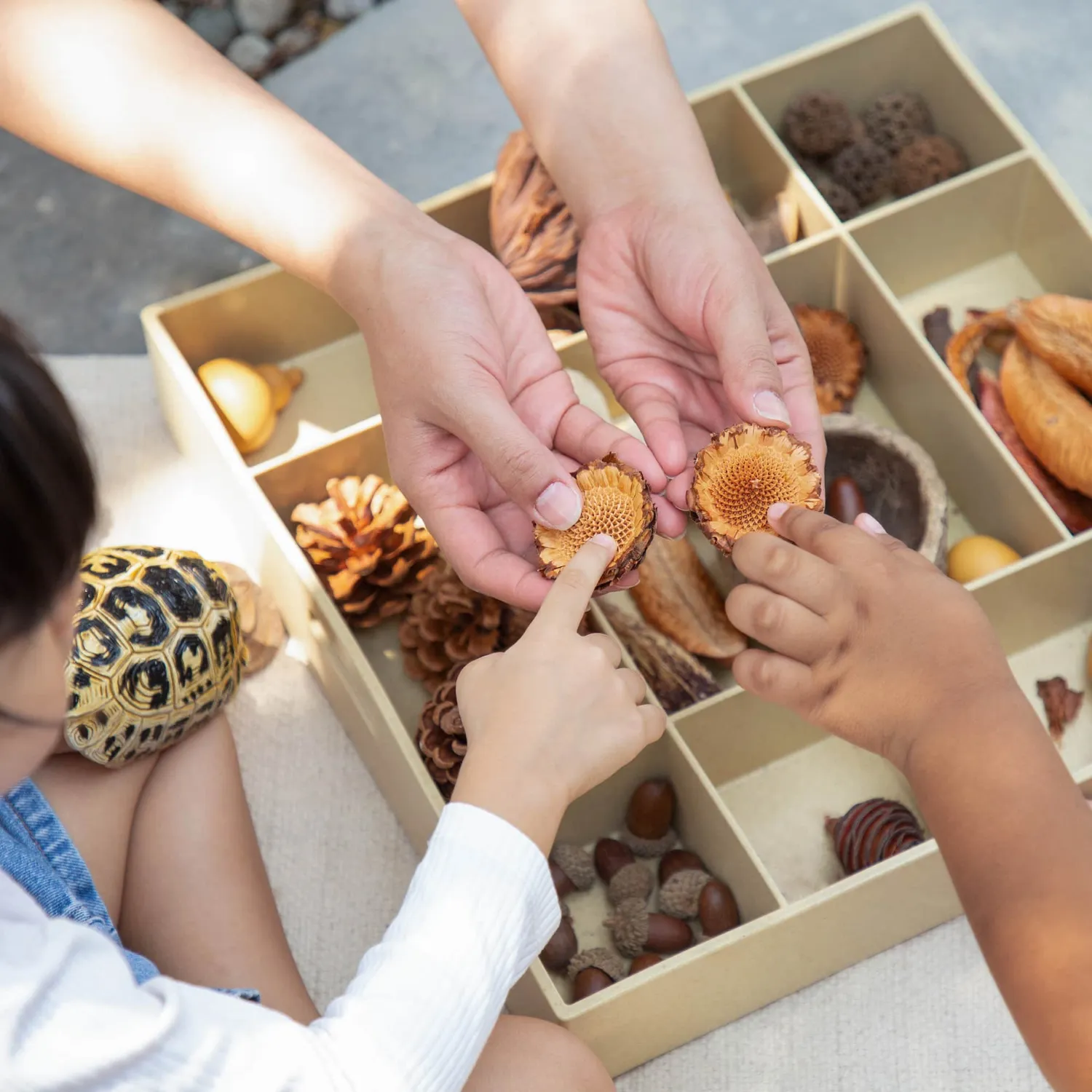 Guidecraft Nature's Geometry STEM-kit losse onderdelen