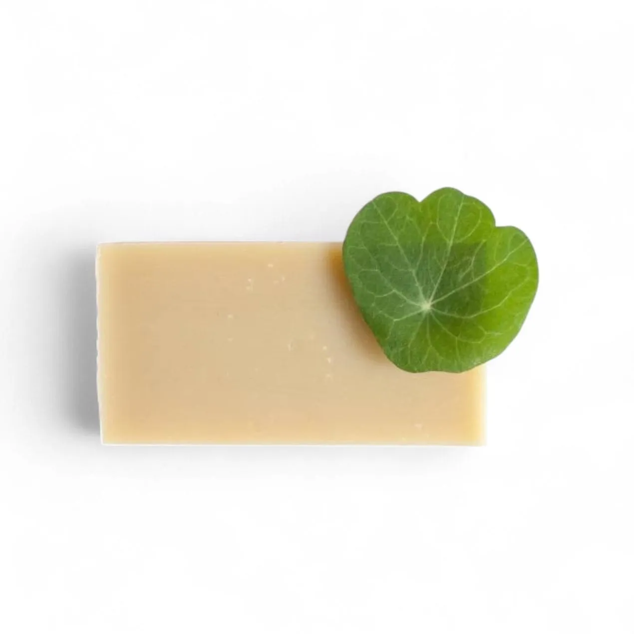 Ginger Fairy Kruidenshampoo haarzeep lang haar ceder