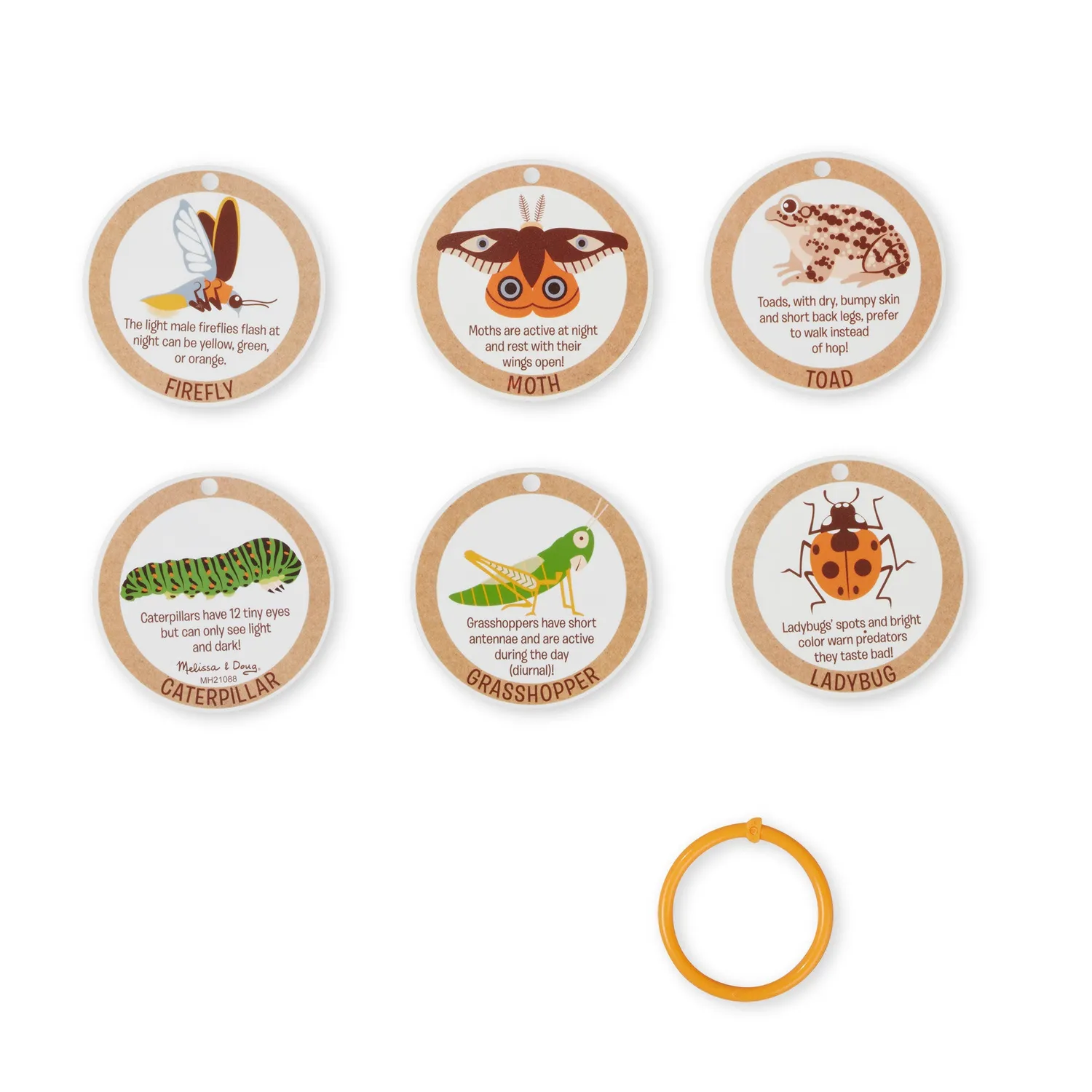 Melissa & Doug Let's Explore Terrarium speelset met loep