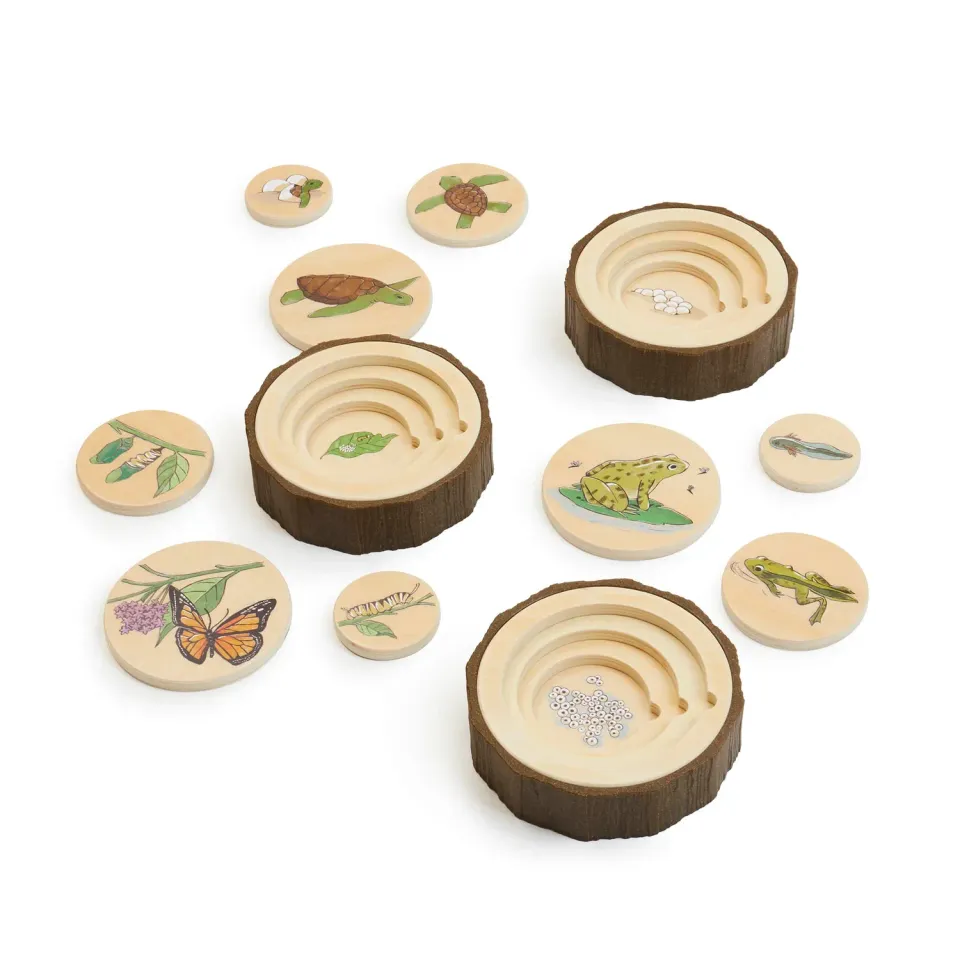 Guidecraft Lifecycle puzzel set van 3 kikker vlinder schildpad