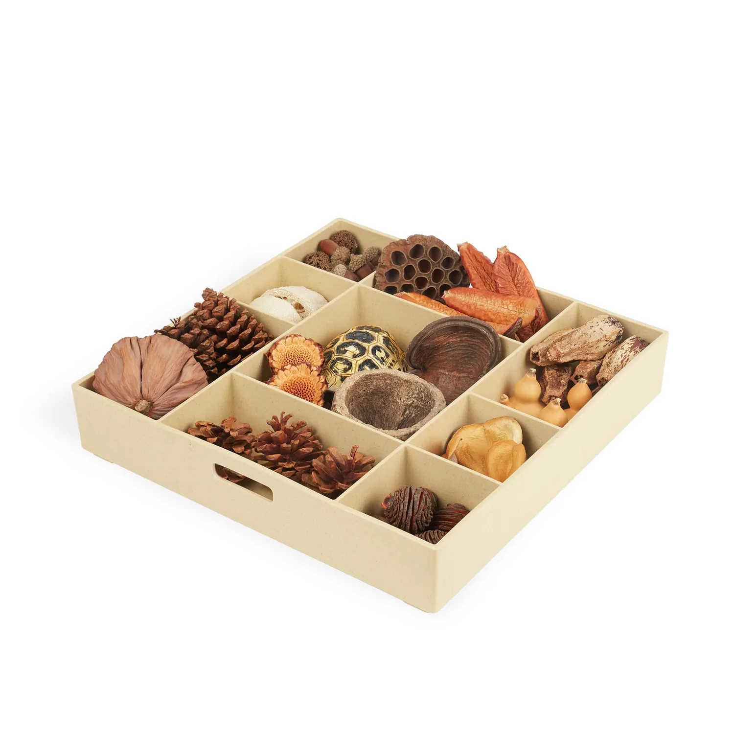 Guidecraft Nature's Geometry STEM-kit losse onderdelen