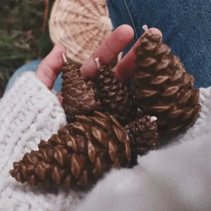 Ginger Fairy Bijenwaskaars dennenappel met waterverf