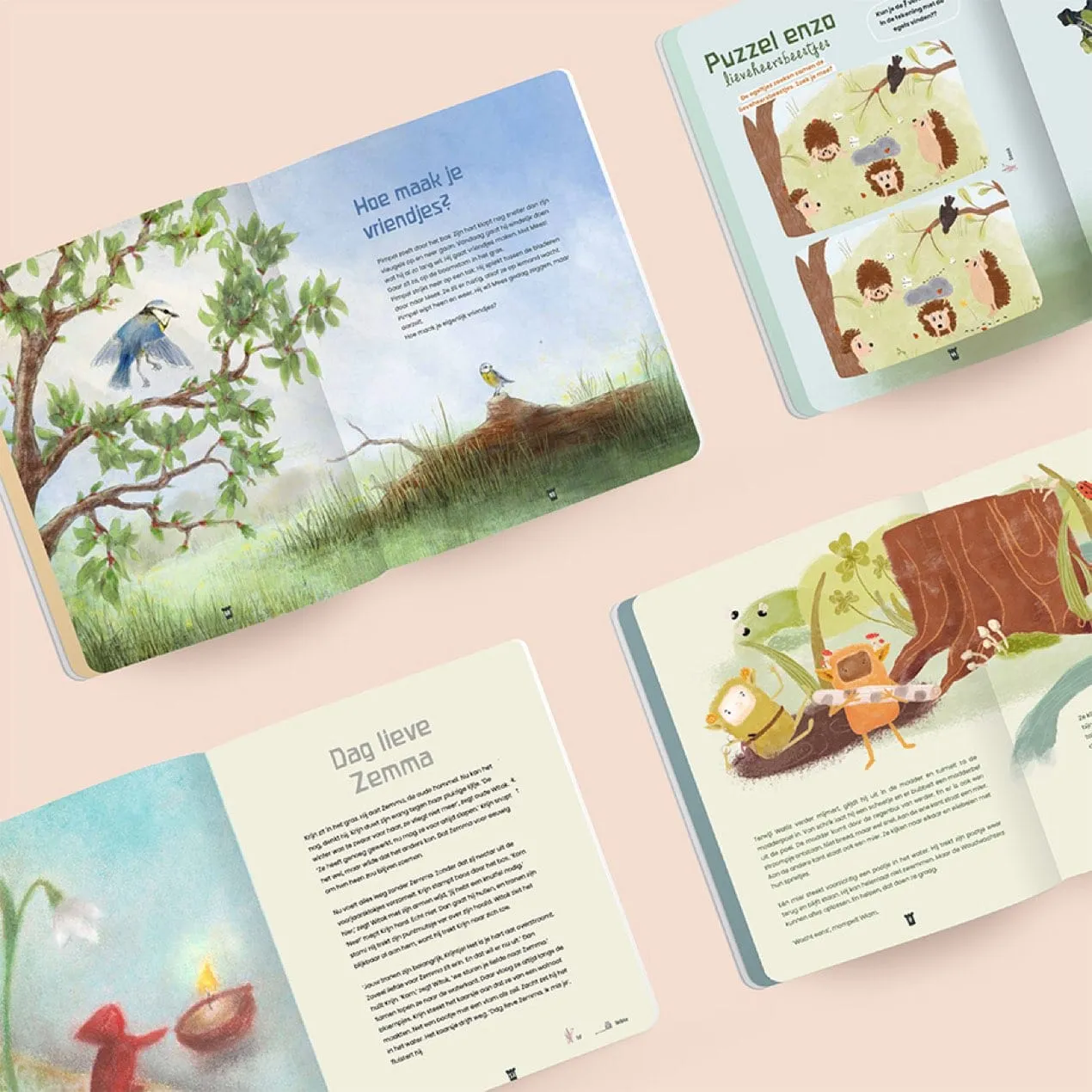 Ginger Fairy Wonderwoud Lente 16 kindertijdschrift bewaarblad