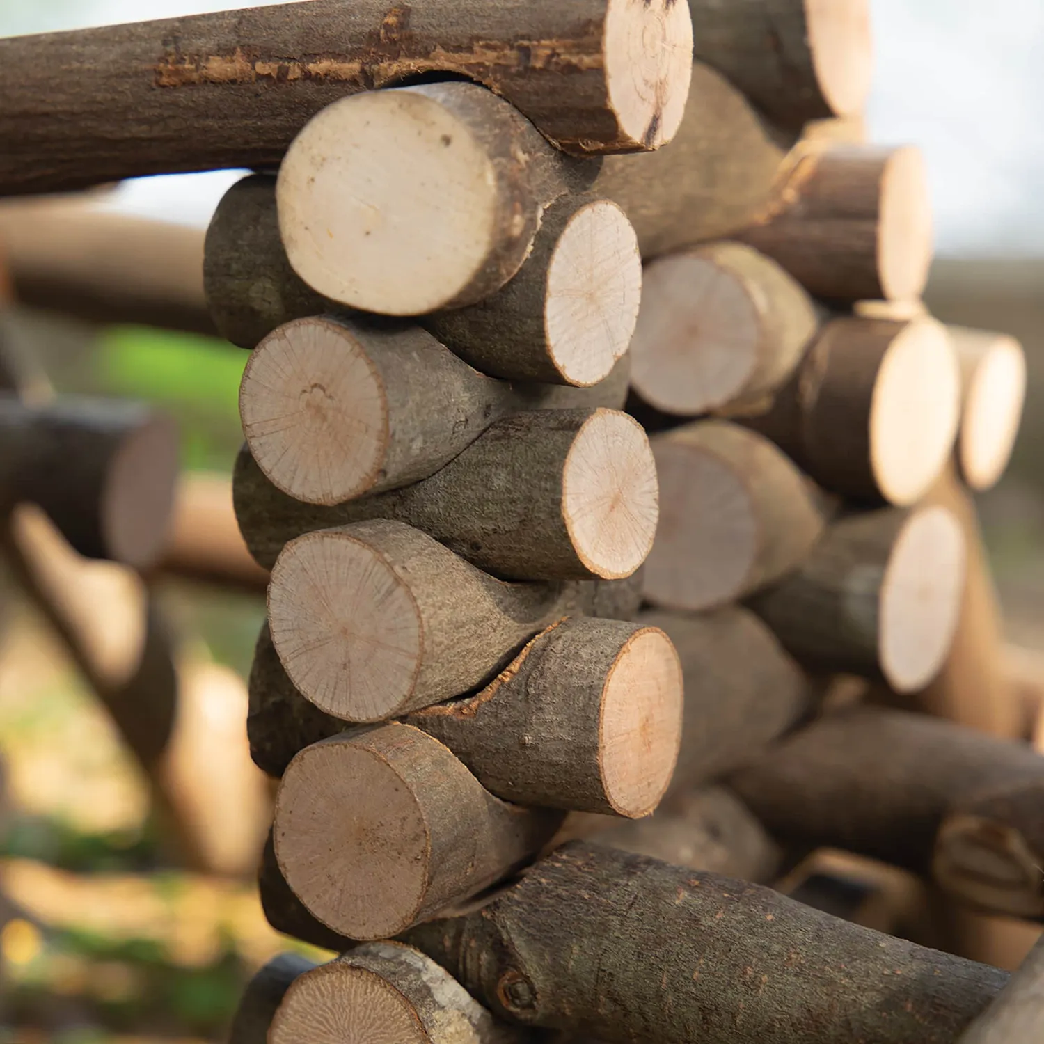 Guidecraft Big Branch Block Builders bouwblokken 125-delig hout