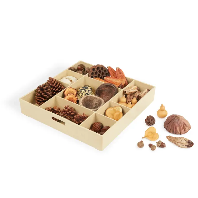 Guidecraft Nature's Geometry STEM-kit losse onderdelen