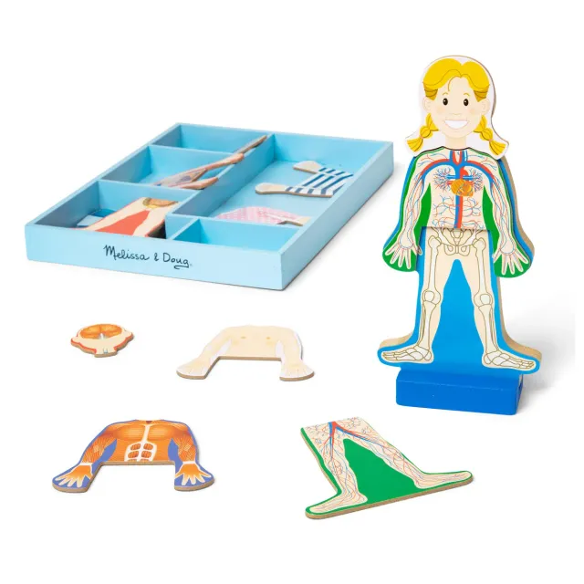 Melissa & Doug Magnetic Menselijk Lichaam magneetset 24dlg