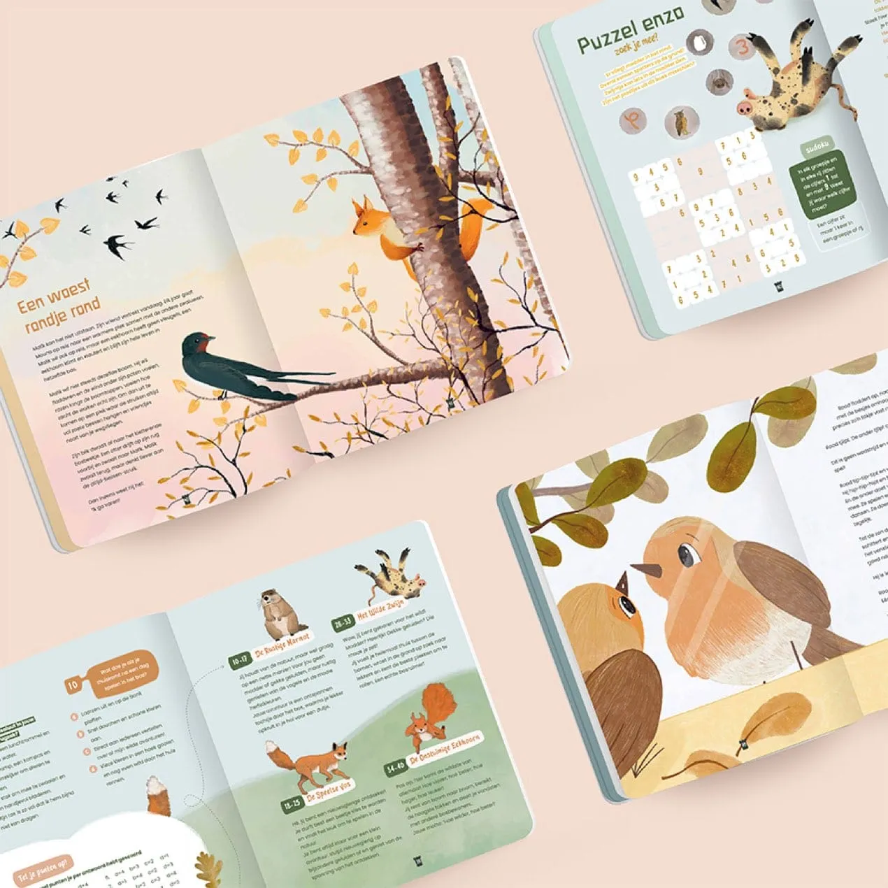 Ginger Fairy Wonderwoud Herfst 14 bewaartijdschrift 96 pagina’s